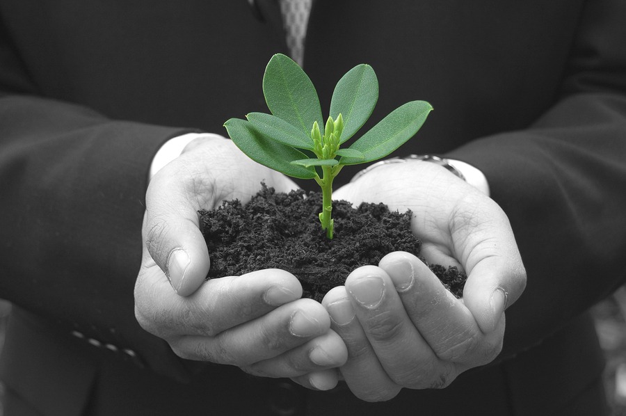 Social Media Marketing Business Growth