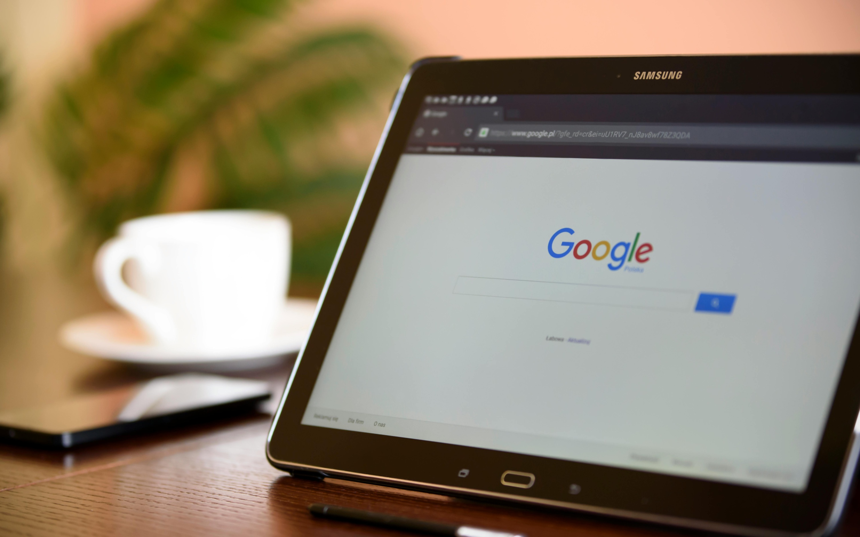 ranking high on google